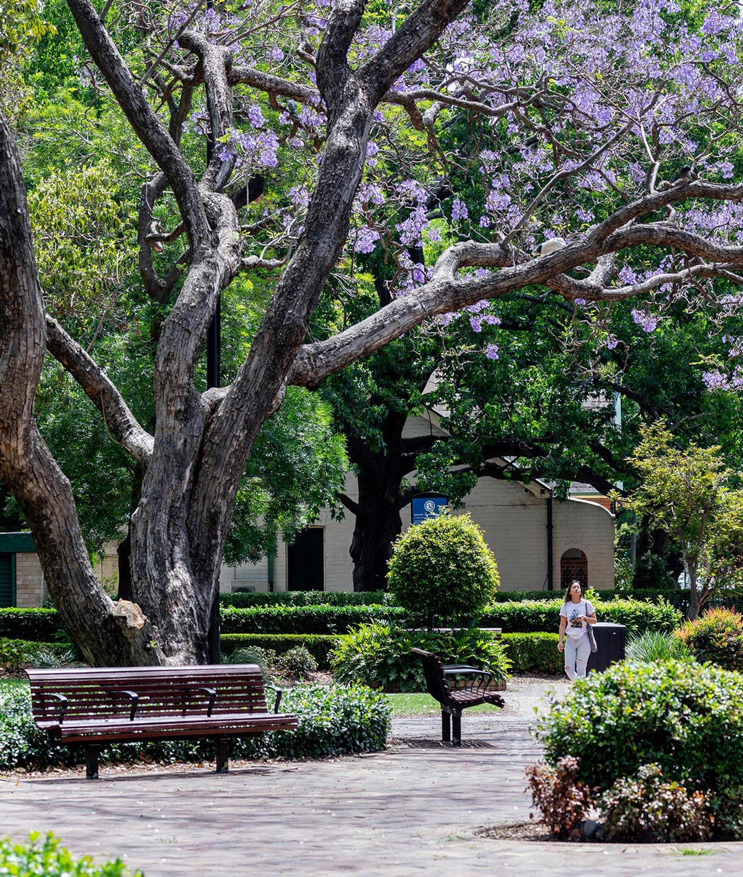 Parklands